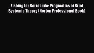 Read Book Fishing for Barracuda: Pragmatics of Brief Systemic Theory (Norton Professional Book)