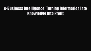Download e-Business Intelligence: Turning Information into Knowledge into Profit PDF Online
