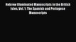 Read Hebrew Illuminated Manuscripts in the British Isles Vol. 1: The Spanish and Portugese