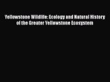 Read Yellowstone Wildlife: Ecology and Natural History of the Greater Yellowstone Ecosystem