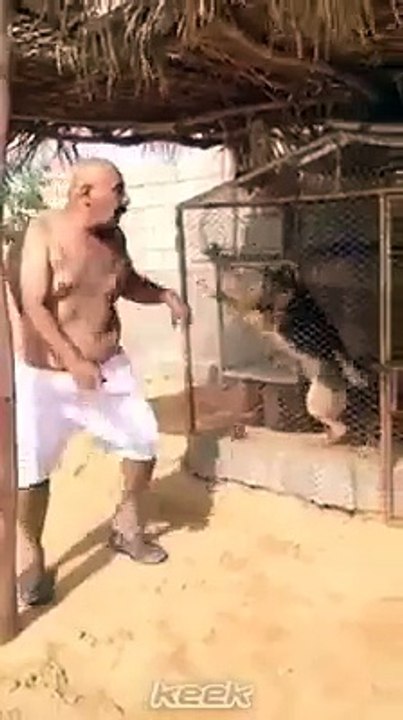 Man and dog funny video