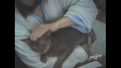 Recovering Cat Cuddles his Mum