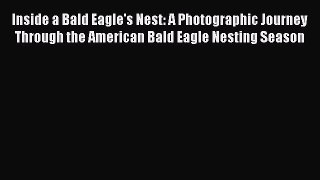 Read Inside a Bald Eagle's Nest: A Photographic Journey Through the American Bald Eagle Nesting