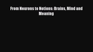 Download From Neurons to Notions: Brains Mind and Meaning Ebook Free