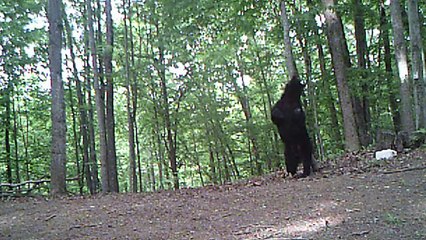 Quand les animaux nous donnent des leçons pour embrasser