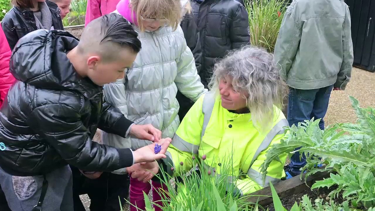 Opération "Adoptez un jardin"