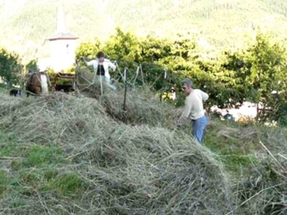 Faire les foins au cheval (Montdenis, Savoie Maurienne) 2
