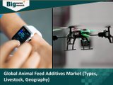 Global Animal Feed Additives Market