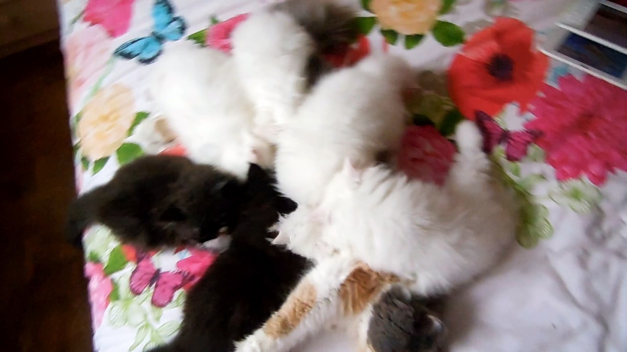 mes bébés deux mois , ont dévore maman