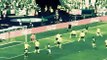 Zlatan Ibrahimovic Ciaran Clark Own Goal Ireland vs Sweden 1_1 Euro 2016