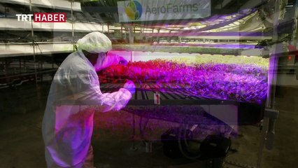 Gelecek nesiller için dikey tarım