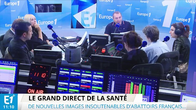 Abattoirs : Ça ne s’arrêtera pas tant que l’on tuera des animaux pour les manger
