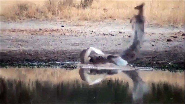 Хорошая реакция спасает жизнь