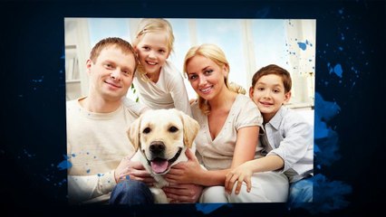 Advanced Pet Care in Wellington