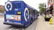 RTA Pace Bus: 2014 ElDorado National Axess Routes 304 & 302 Buses #6340 & #6369 at LaGrange