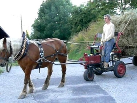 Faire les foins au cheval (Montdenis, Savoie Maurienne) 3