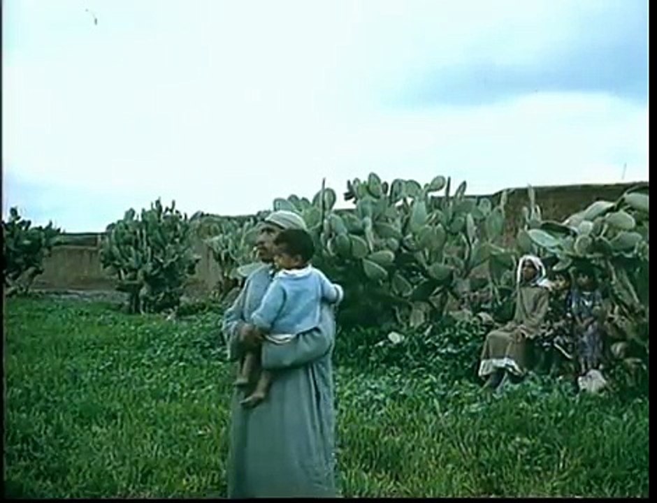 Pechowe dni - Katastrofy lotnicze cz.2