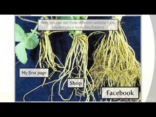 Udemy PSD To HTML Intro 1