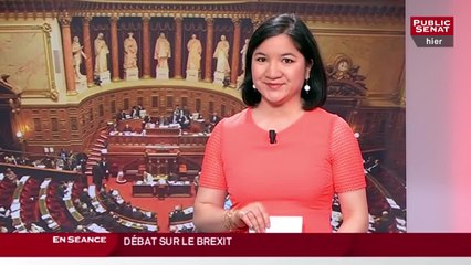 Les matins du Sénat : Débat sur le brexit (29/06/2016)