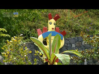 Madère - www.envie-de-voyages.com