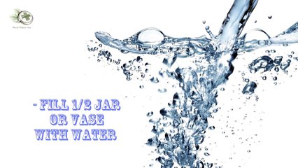 Voici un remède naturel et efficace pour garder les moustiques loin de vous cet été !