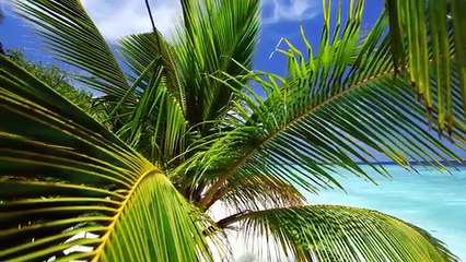 Maldives - www.envie-de-voyages.com