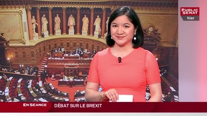 [version longue] Les matins du Sénat : Débat sur le brexit (29/06/2016)