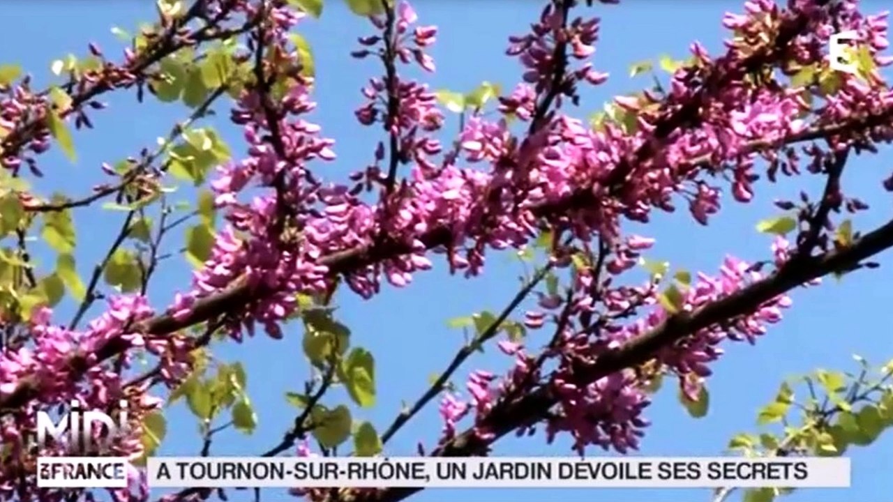 Le jardin d'Eden 2016