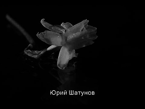 Юра шатунов 1995г. Мам я бросил курить шатунов. Песня мама шатунов текст. Мам я бросил курить и ночью бродить. Песня мам я бросил.