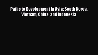 Read Paths to Development in Asia: South Korea Vietnam China and Indonesia Ebook Free