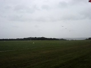 B17+P51