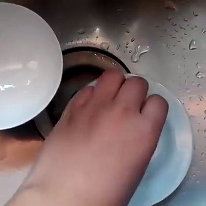 egg technic