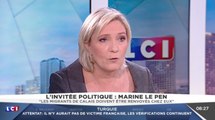 Sarkozy ? Un barbapapa, selon Marine Le Pen. Zap actu du 29/06/2016 par lezapping