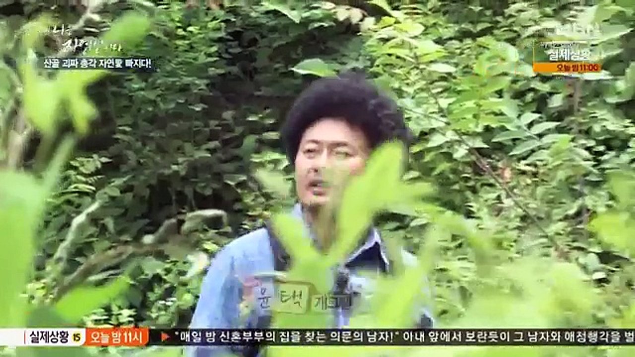 nature