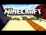 Minecraft Minigames: Micro Battles!