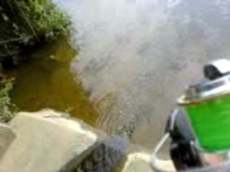 Brochet 1