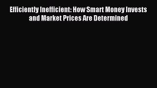 Download Efficiently Inefficient: How Smart Money Invests and Market Prices Are Determined