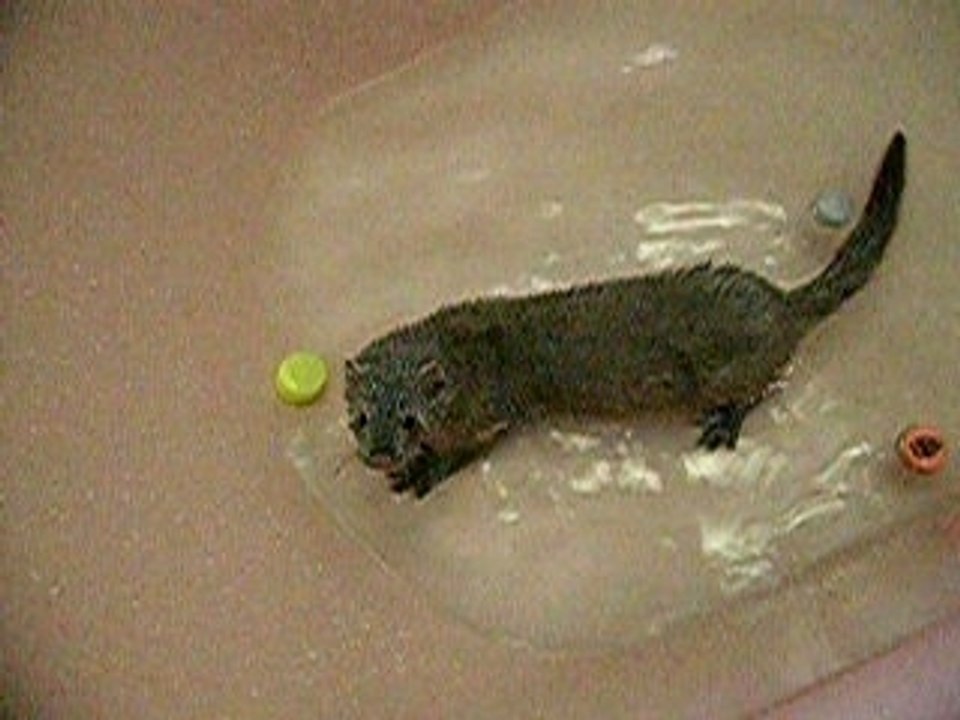 Le bain
