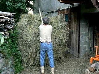 Faire les foins au cheval (Montdenis, Savoie Maurienne) 4