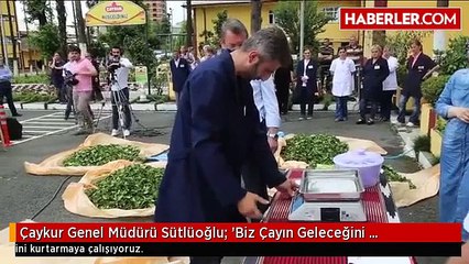 Çaykur Genel Müdürü Sütlüoğlu: 'Biz Çayın Geleceğini Kurtarmaya Çalışıyoruz'
