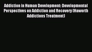 Read Addiction in Human Development: Developmental Perspectives on Addiction and Recovery (Haworth