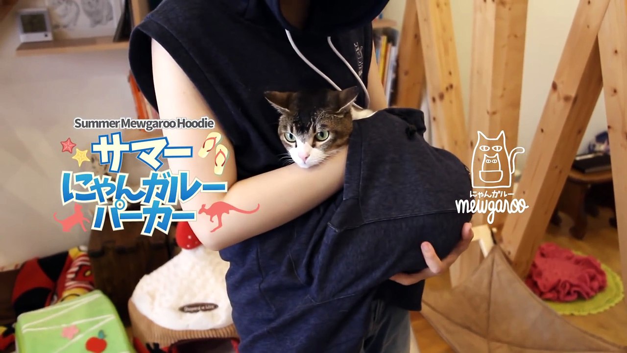 Désormais, promenez-vous partout avec votre chat grâce à ce sweat à capuche !
