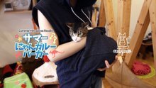 Désormais, promenez-vous partout avec votre chat grâce à ce sweat à capuche !
