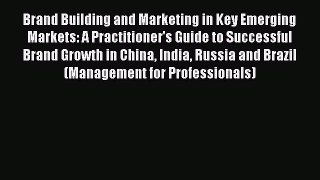 Read Brand Building and Marketing in Key Emerging Markets: A Practitioner's Guide to Successful
