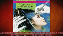READ book  A Colorful Introduction to the Anatomy of the Human Brain A Brain and Psychology Coloring  FREE BOOOK ONLINE