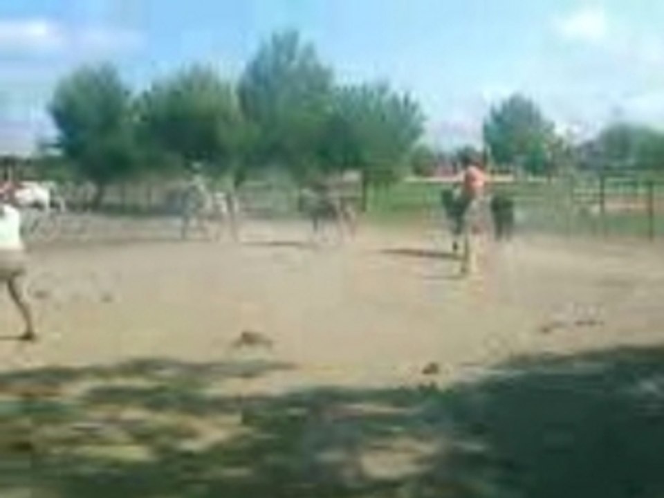 trOt-dOwn hey !