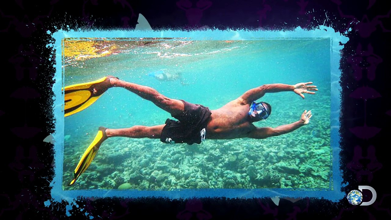Kevin Hart's Shark Obsession