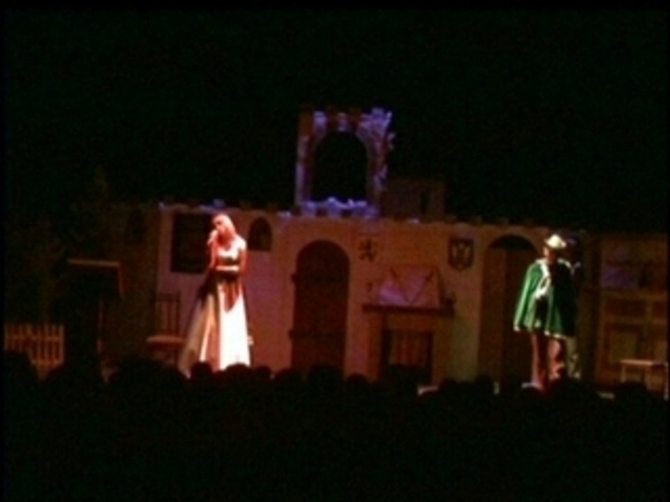 L'amour ne se Commande pas