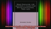 READ FREE FULL EBOOK DOWNLOAD  Black Diamonds Life and Work in Iowas Coal Mining Communities 18951925 Full Ebook Online Free