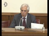 Roma - Adozioni e affido, audizione Presidente Tribunale minori di Milano, Zevola (29.06.16)